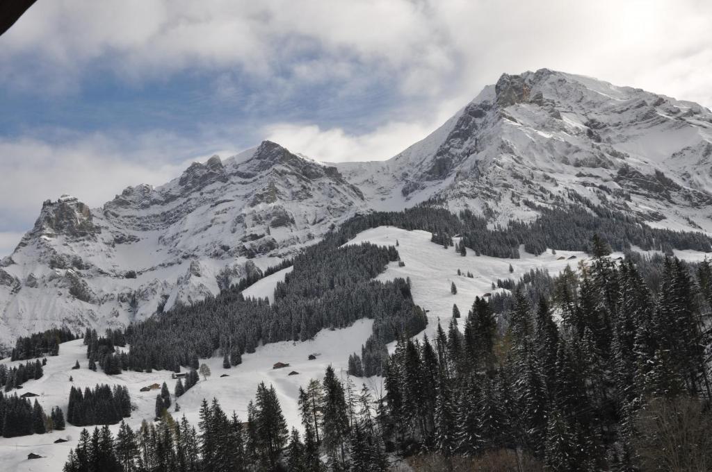 Chalet Allmegrat Адельбоден Екстер'єр фото