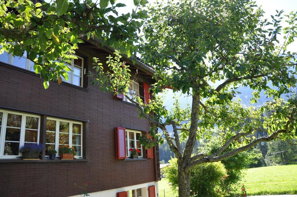 Chalet Allmegrat Адельбоден Екстер'єр фото
